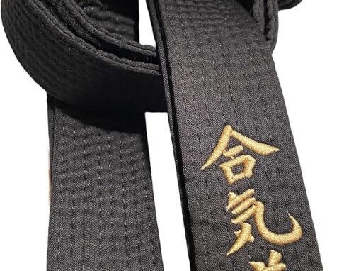 Passages de Grades 1er & 2e dan, Ligue Nouvelle-Aquitaine : Dimanche 21 juin 2026 à Canéjan (33)