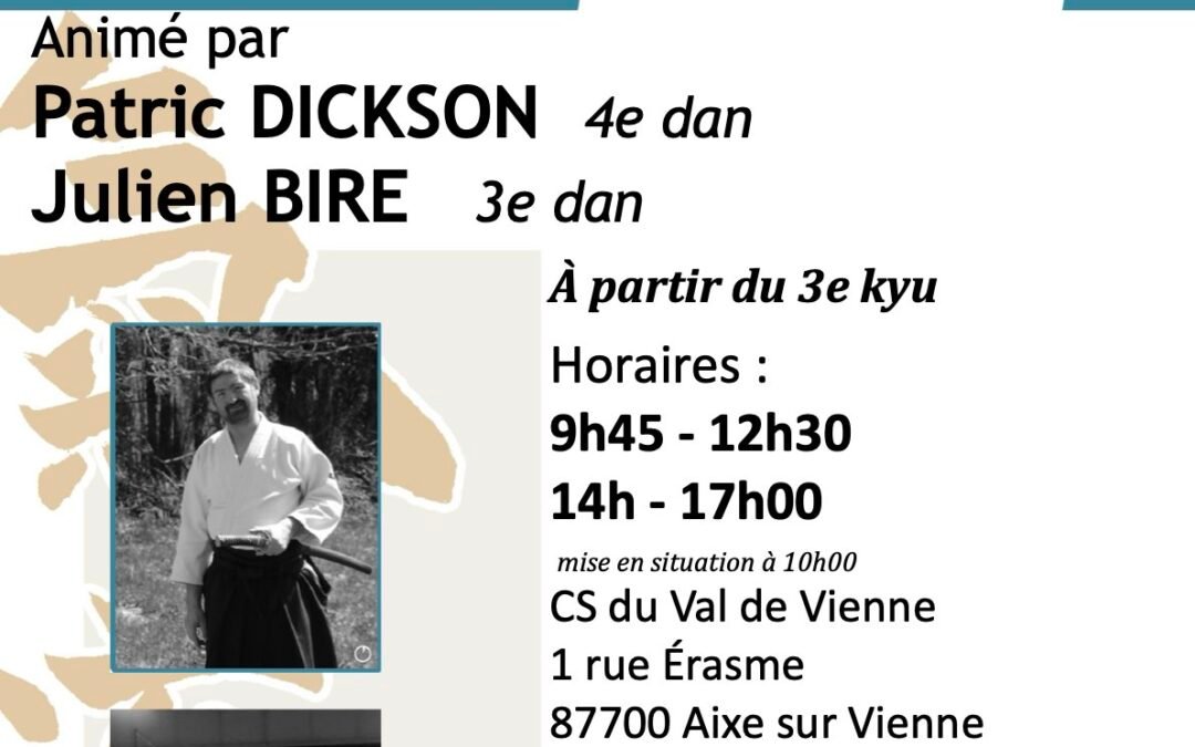 CID LIMOUSIN Stage Préparation 1er/2e dan, Patrick DICKSON & Julien BIRE, Aixe-sur-Vienne (87), 22/03/2026